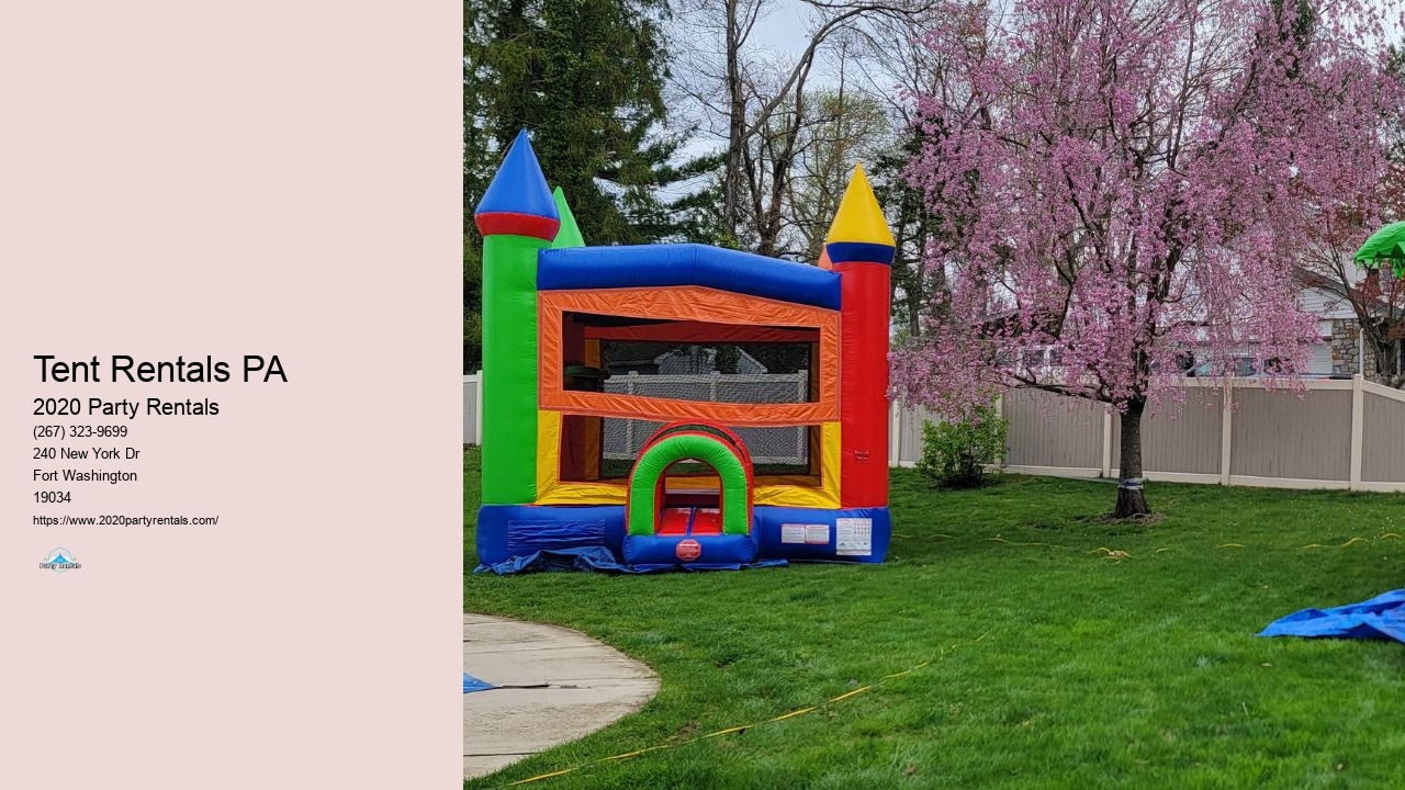 Birthday Party Inflatable Rentals Near Me